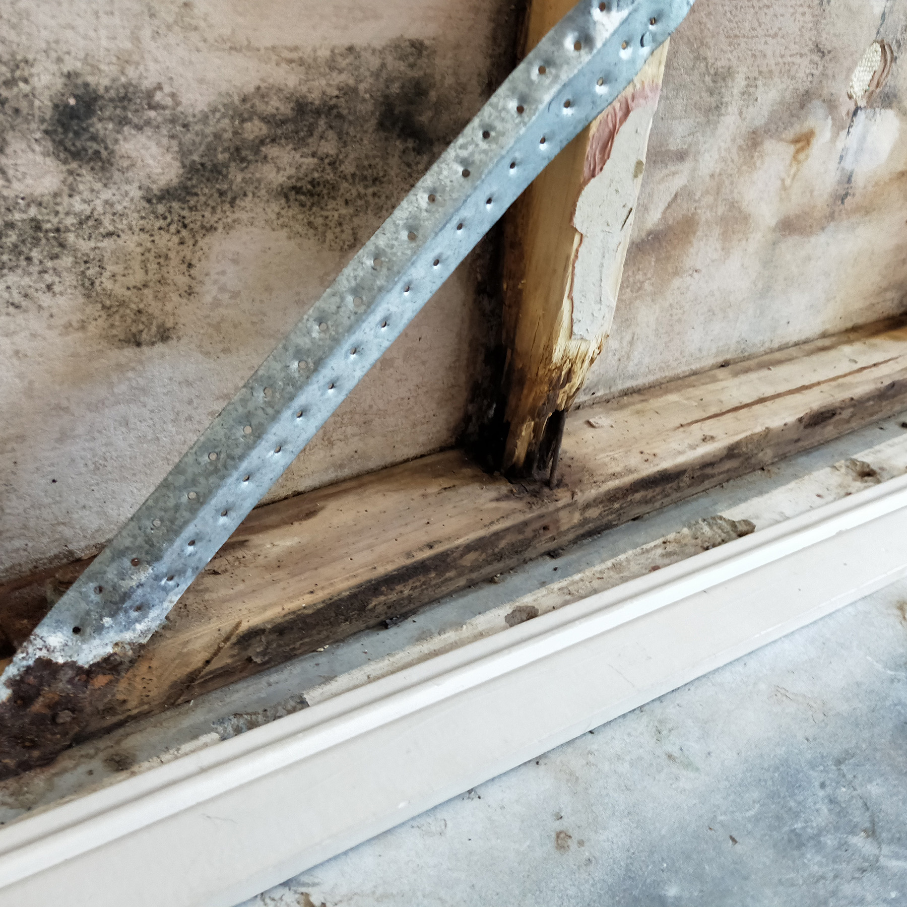 image for Home Mould Investigations by Keystone Environmental
